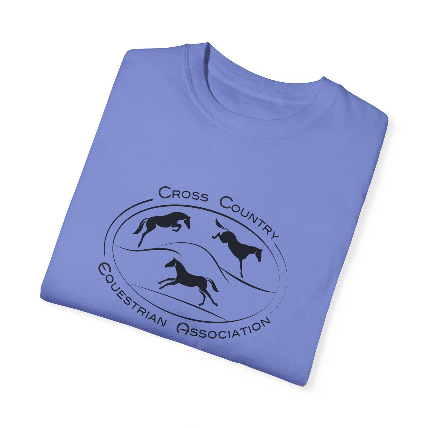 CCEA Logo Unisex Garment-Dyed T-shirt