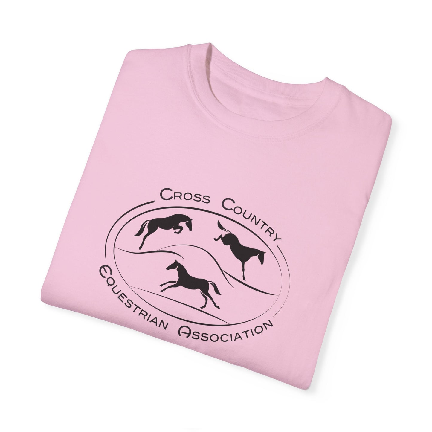 CCEA Logo Unisex Garment-Dyed T-shirt