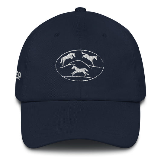 HATS- CCEA Embroidered Logo hat. Available in Navy, Spruce, and Pink.