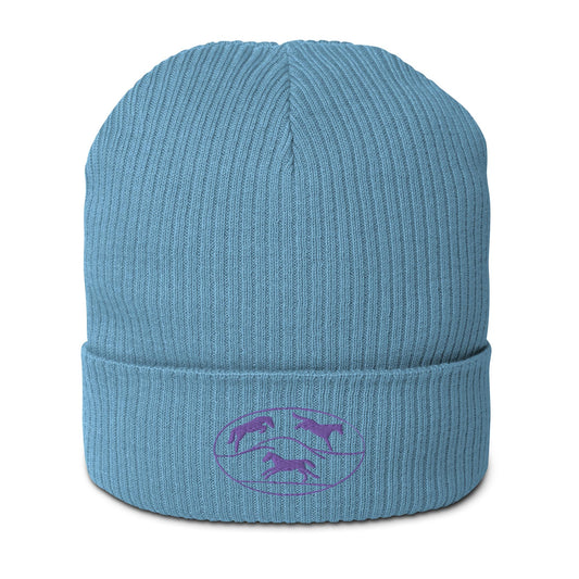 HATS- CCEA Organic ribbed beanie. Available in Blue, Lime, or Gray